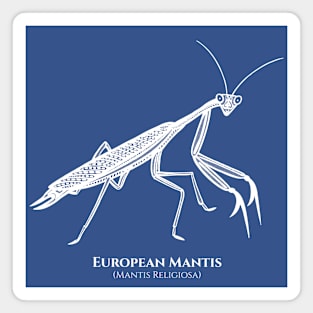 European Mantis design with Common and Scientific Names Magnet